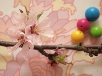 Cherry blossoms and plastic beads